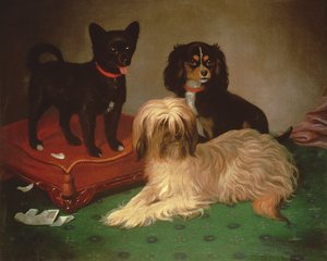 Três cães (óleo)